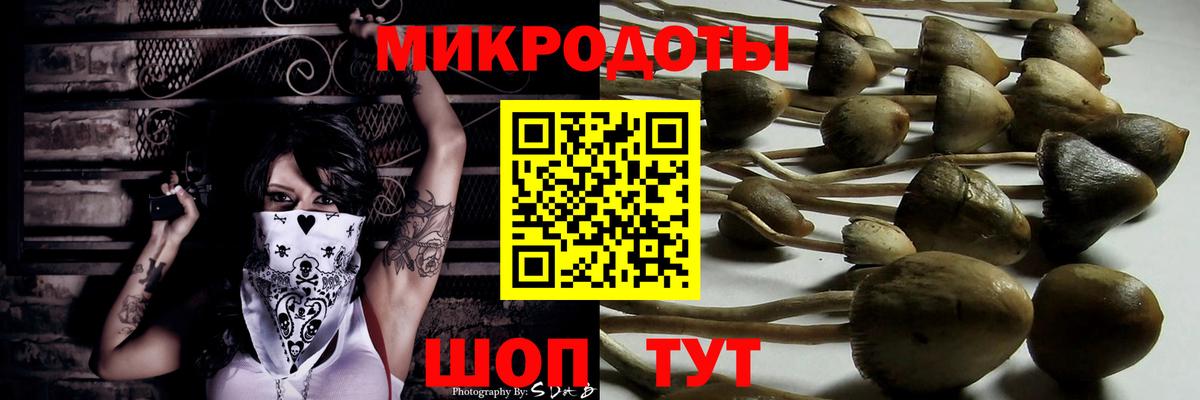 Псилоцибиновые грибы ЛСД  Вход с VPN  Камень-на-Оби 